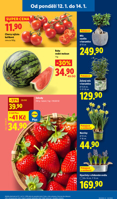 Lidl od 12.1. do 14.1.2026