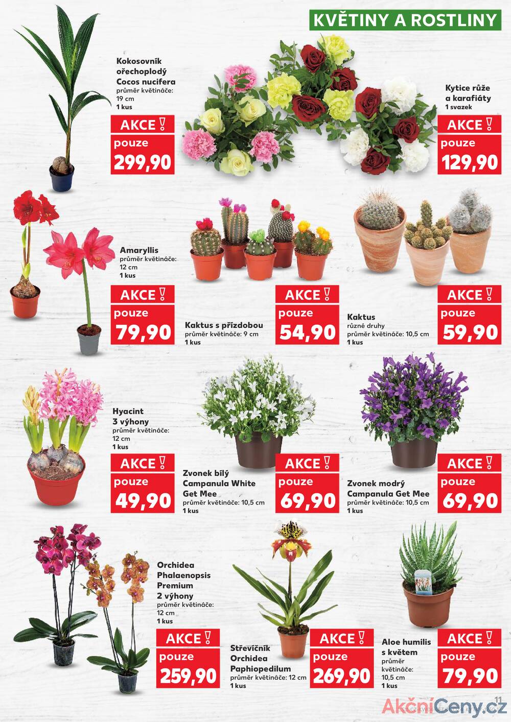 Kaufland 21.1. - 27.1. - Kaufland - Chomutov - centrum