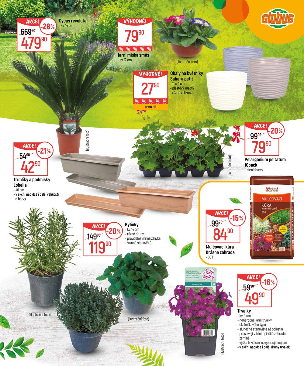 Akční leták Globus 18.2. - 16.3.2026 - Globus Chotíkov u Plzně