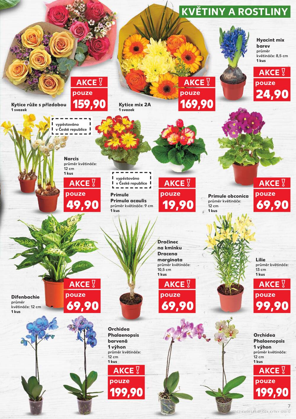 Kaufland 18.2. - 24.2. - Kaufland - Louny