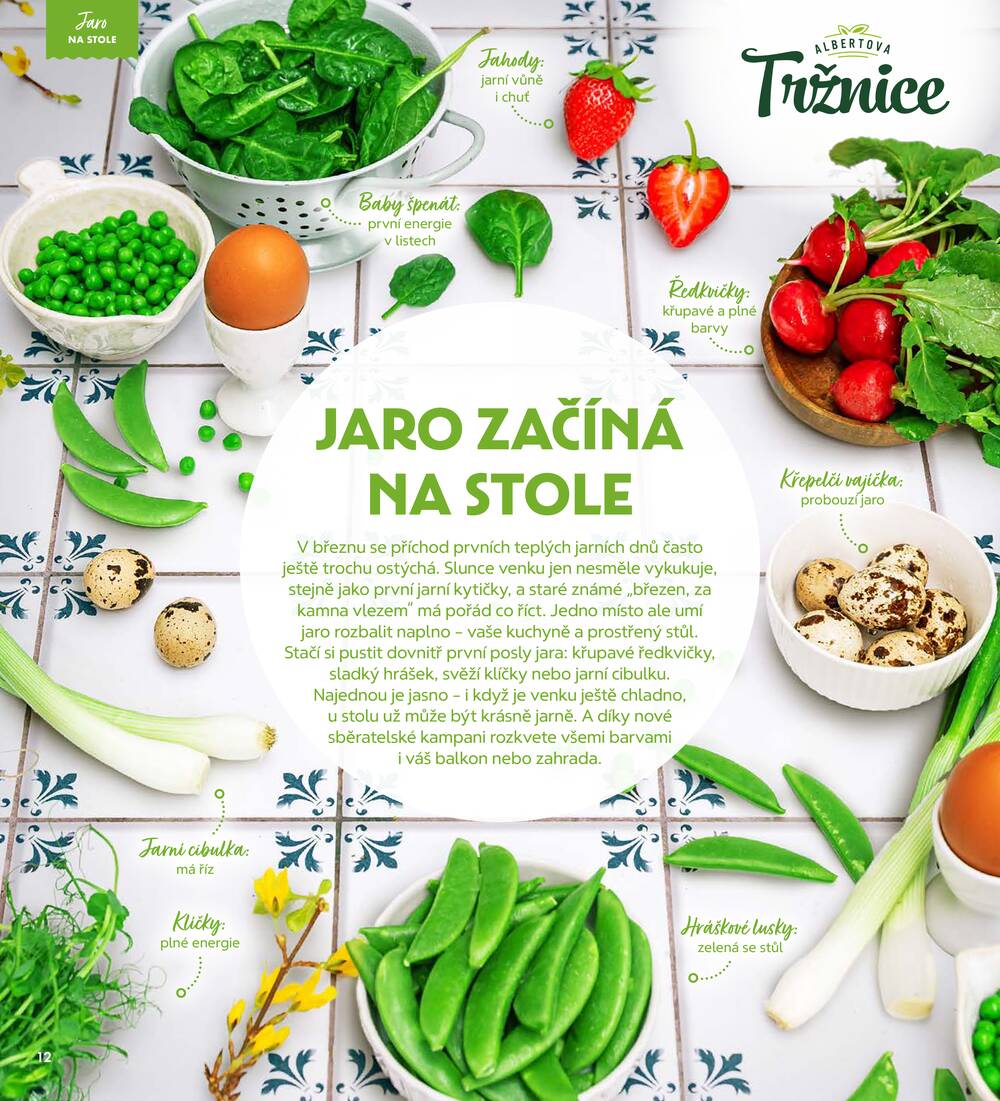 Albert Magazín do 7.4.