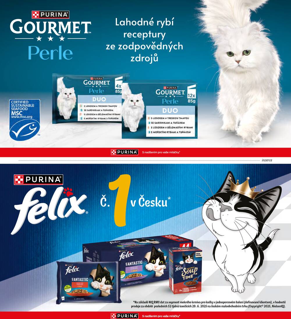 Albert Magazín do 7.4.