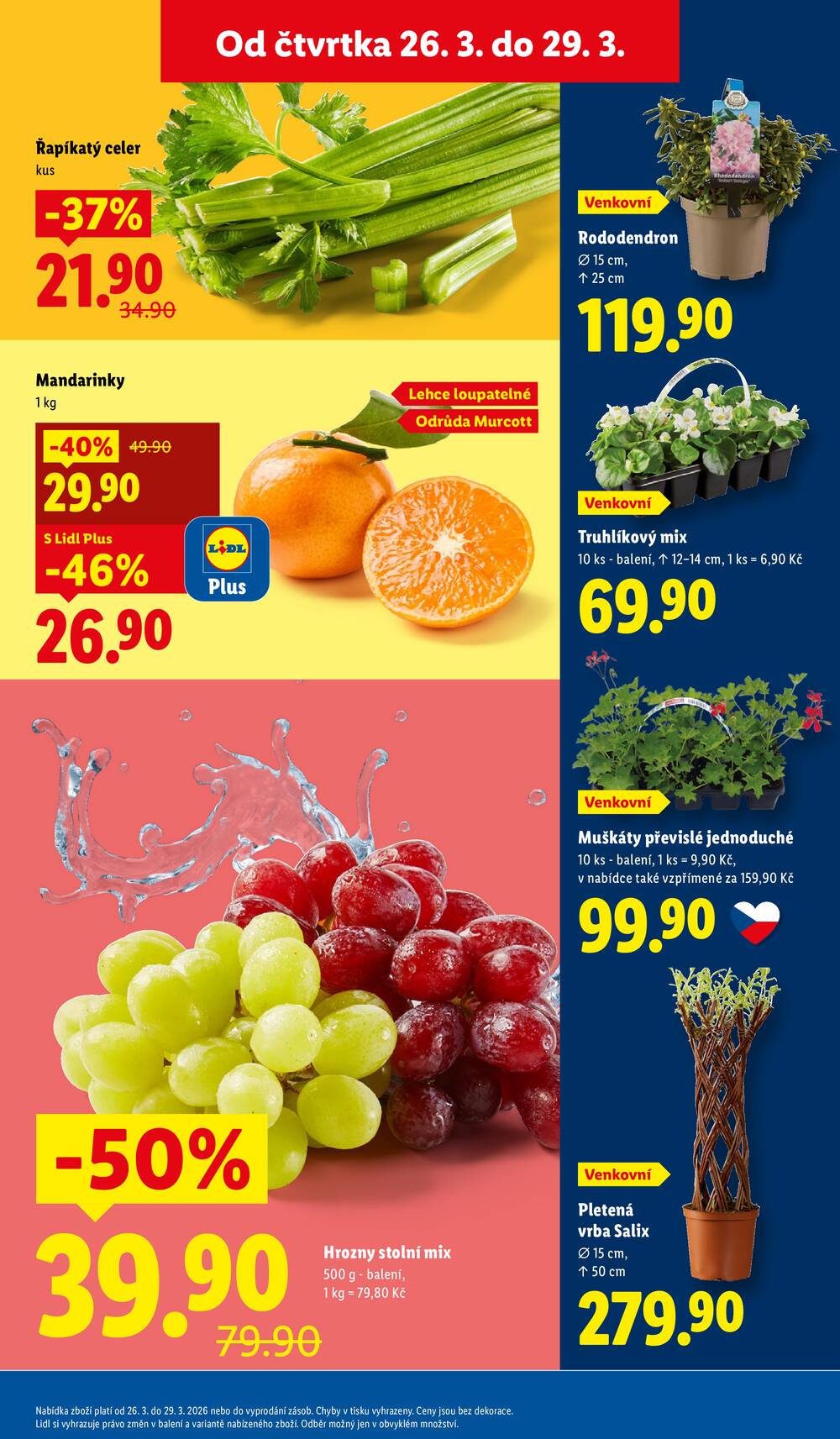 Lidl Čtvrtek od 26.3. do 29.3.2026