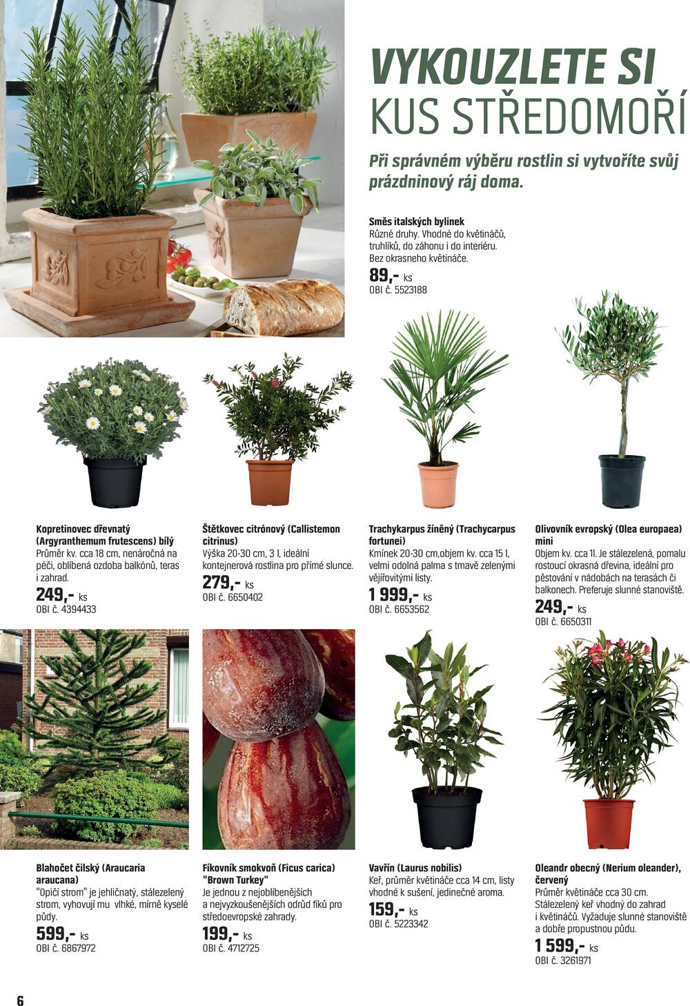 OBI Magazín rostlin od 15.4. do 14.5.2026