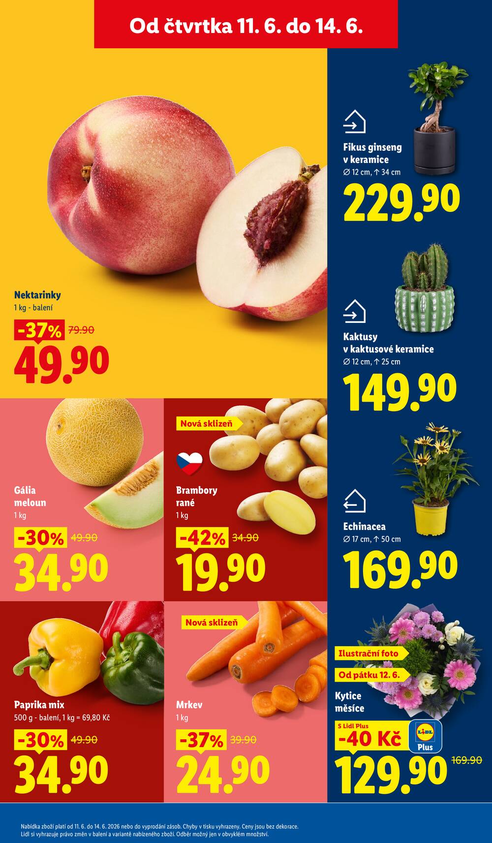 Lidl Čtvrtek od 11.6. do 14.6.2026