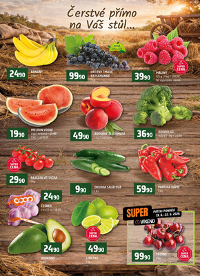 Terno Třeboň, Týn n. Vlt., Bechyně, Trhové Sviny, Hradec Králové, Zlín, České Budějovice, Jihlava, Strakonice, Tábor od 17.6. do 23.6.2026