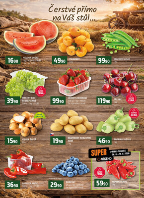 Terno Trhové Sviny, Bechyně, Třeboň, Týn nad Vltavou, České Budějovice, Hradec Králové, Olomouc, Borovany, Zlín a Český Krumlov od 24.6. do 30.6.2026
