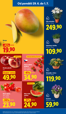 Lidl od 29.6. do 1.7.2026