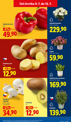 Lidl Čtvrtek od 9.7. do 12.7.2026