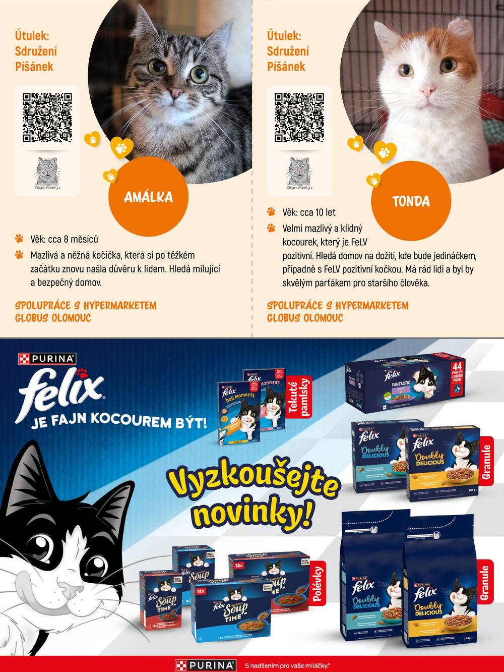Leták Globus - Akční leták Globus 7.9. - 31.10.2026 - Globus Pardubice - strana 12 Leták Globus - Akční leták Globus 7.9. - 31.10.2026 - Globus Pardubice - strana 12
