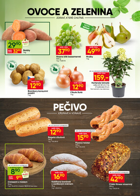 Hruška od 16.9. do 22.9.2026