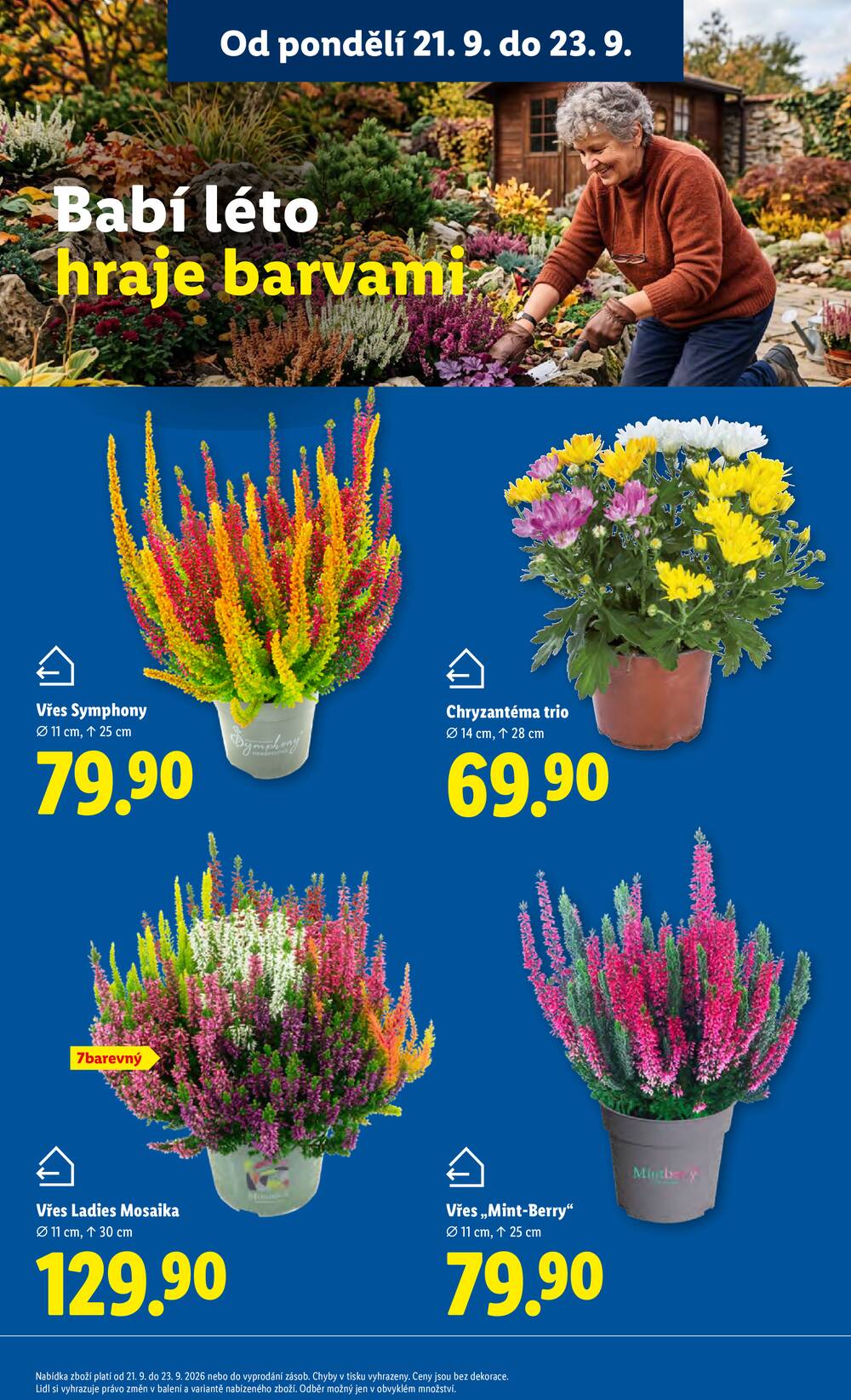 Leták Lidl - Lidl od 21.9. do 23.9.2026 - strana 13 Leták Lidl - Lidl od 21.9. do 23.9.2026 - strana 13