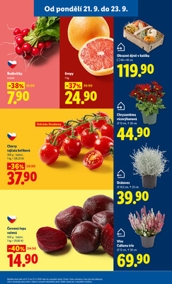 Lidl od 21.9. do 23.9.2026