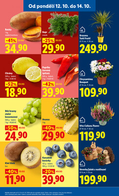 Lidl od 12.10. do 14.10.2026