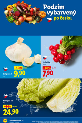 Lidl od 19.10. do 21.10.2026