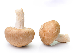Žampiony hnědé 250g