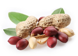 Arašídy neloupané 400g