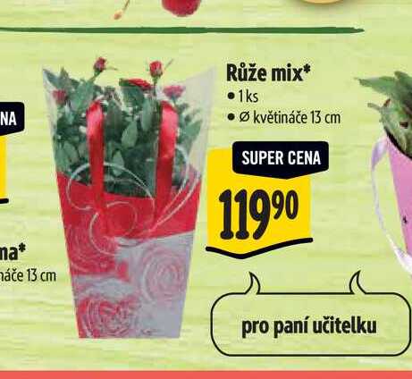 Růže mix pr. květináče 13 cm