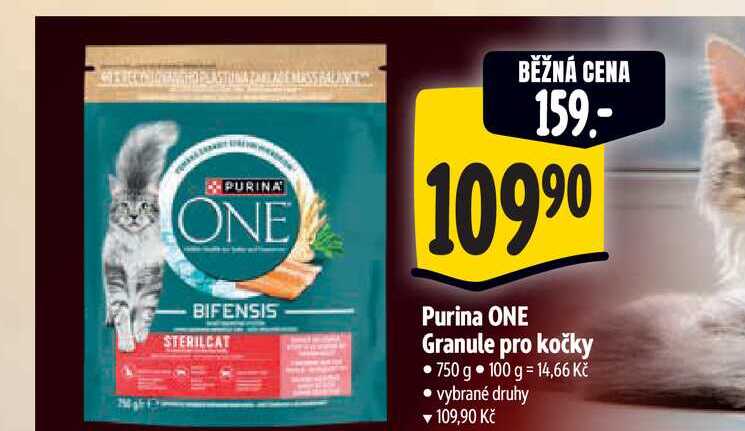  Purina ONE Granule pro kočky 750 g  