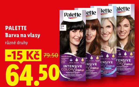 PALETTE Barva na vlasy, různé druhy