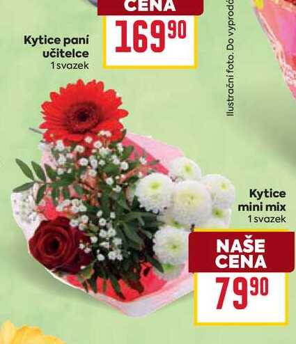 Kytice mini mix 1 svazek