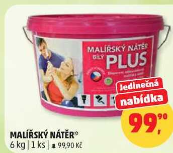 MALÍŘSKÝ NÁTĚR, 6 kg  