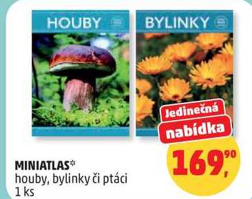 MINIATLAS houby, bylinky či ptáci, 1 ks 