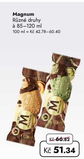 Magnum Různé druhy à 85-120 ml 