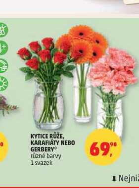 KYTICE RŮŽE, KARAFIÁTY NEBO GERBERY