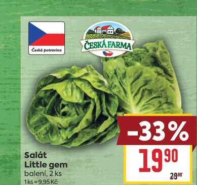 Salát Little gem balení, 2 ks 