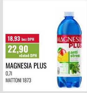 MAGNESIA PLUS 0,7l