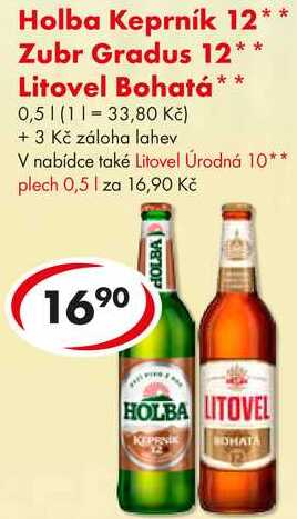 Zubr Gradus 12, Litovel Bohatá, 0,5 l