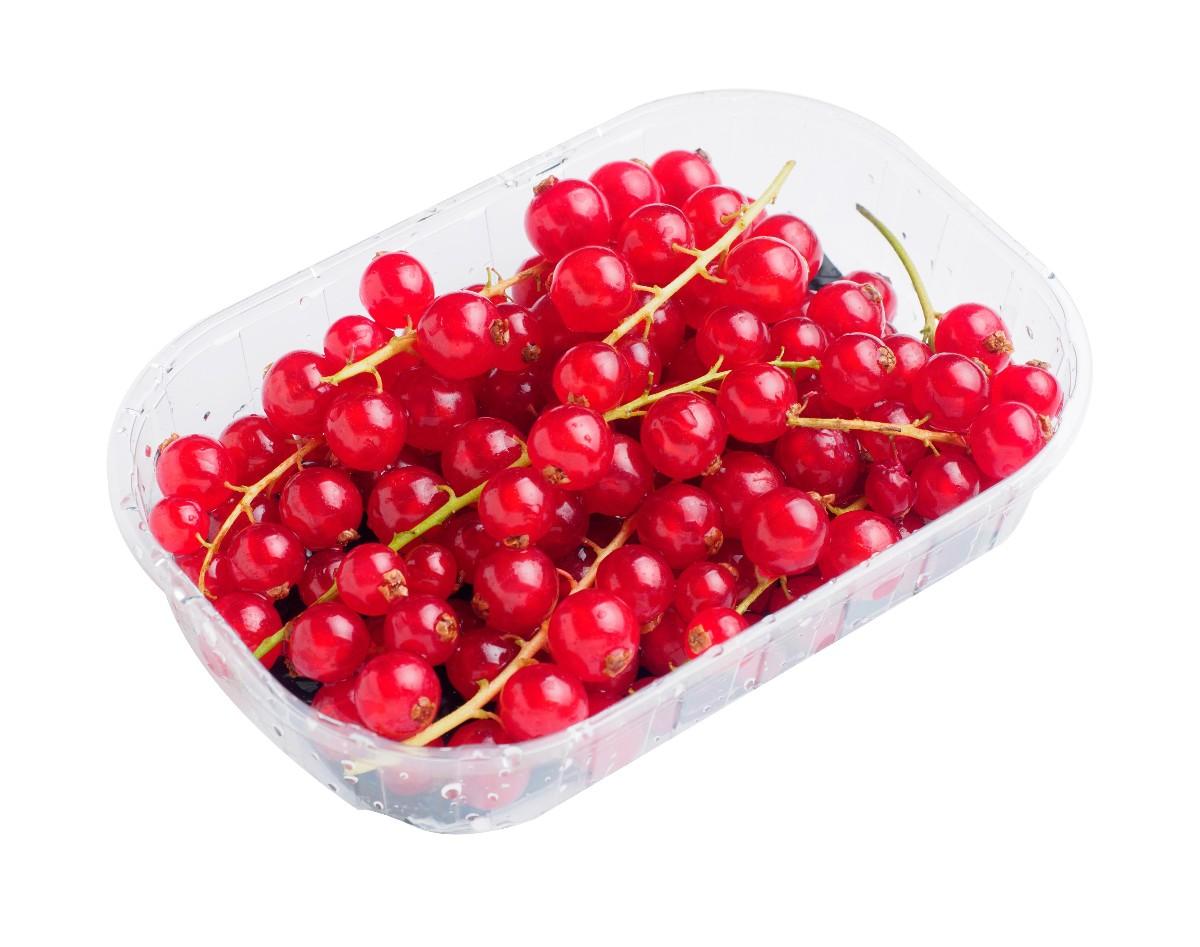 Rybíz červený, 125 g