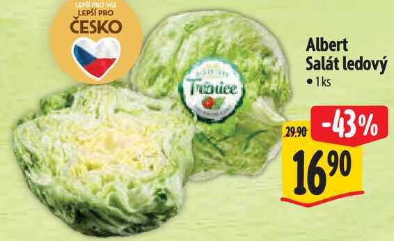 Salát ledový • 1ks -43% 1690 