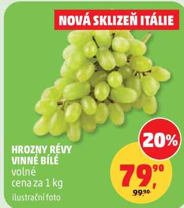 HROZNY RÉVY VINNÉ BÍLÉ volné, 1 kg