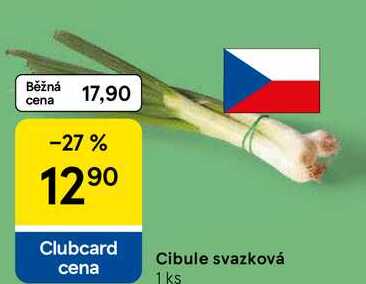 Cibule svazková, 1ks