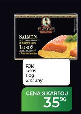 FJK losos 110g