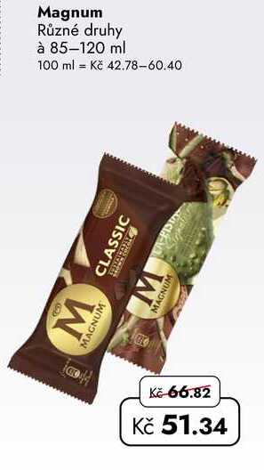 Magnum Různé druhy à 85-120 ml 