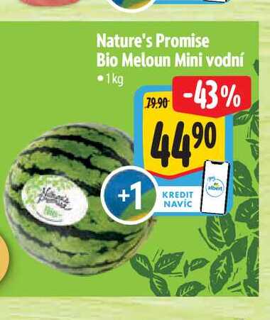 Nature's Promise Bio Meloun Mini vodní  1kg  