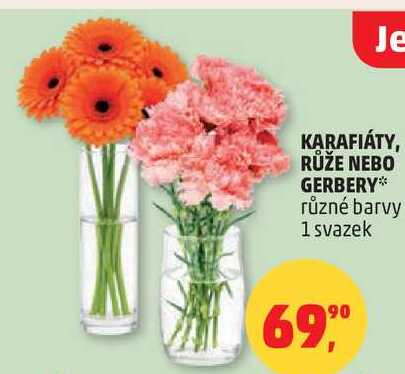 KARAFIÁTY, RŮŽE NEBO GERBERY různé barvy, 1 svazek