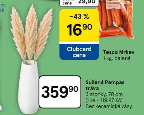 Sušená Pampas tráva, 3 stonky, 70 cm