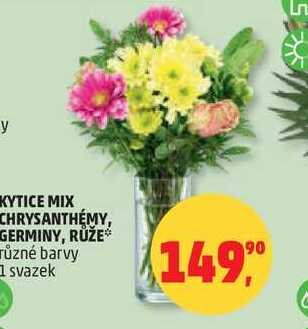 KYTICE MIX CHRYSANTHÉMY, GERMINY, RŮŽE různé barvy, 1 svazek