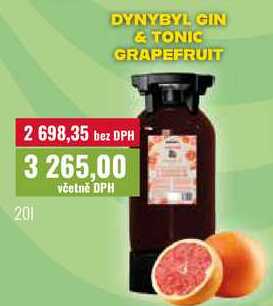 DYNYBYL GIN & TONIC GRAPEFRUIT 20l