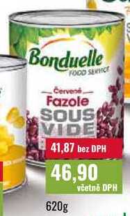 Bonduelle FOOD SERVICE Červené Fazole 620g