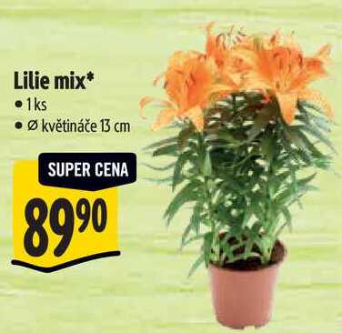 Lilie mix