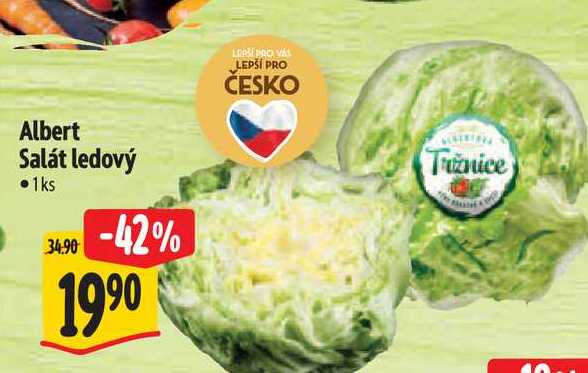 Albert Salát ledový 1ks