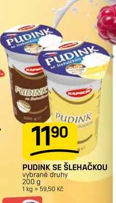 PUDINK SE ŠLEHAČKOU vybrané druhy 200 g