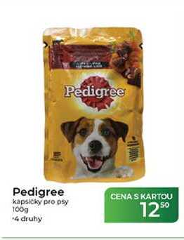Pedigree kapsičky pro psy 100g  