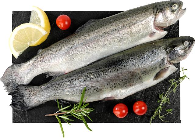 Pstruh (Oncorhynchus mykiss) celý, chlazený, kuchaný
