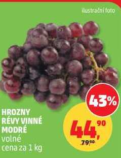 HROZNY RÉVY VINNÉ MODRÉ, 1 kg